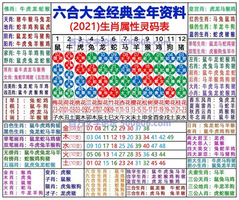 2024年是什麼生肖年|2024完整生肖表图 正宗版2024生肖卡表